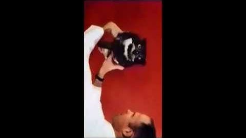 Rotate your owl.. for real!