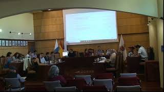 Pleno Ordinario 28 de noviembre de 2019