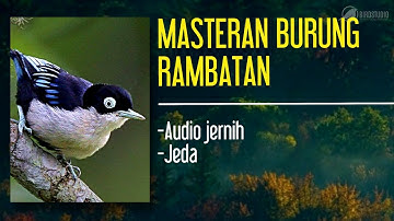 MASTERAN RAMBATAN DORAEMON | AUDIO JERNIH