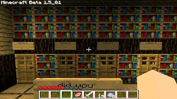 Minecraft Custom Map : Mad Scientist Escape!