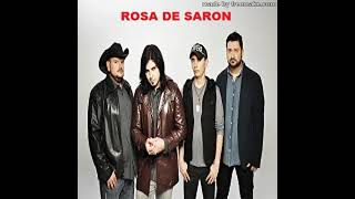 Rosa De Saron (Especial)