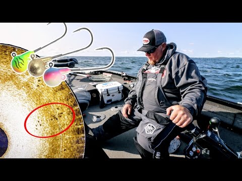 Video: Catching Walleye In September