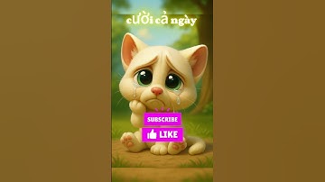 Mèo con và anh kế thi đấm bốc #shorts #cat #catai #ai #meow