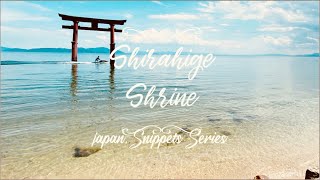 Shirahige Shrine | SEE WHAT I SEE - Japan Snippets Series Shirahige Shrine | SEE WHAT I SEE - Japan Snippets Series