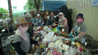 【草根菩提-368出去走走】20141121 - 阿蓮找偶去 - 高雄阿蓮