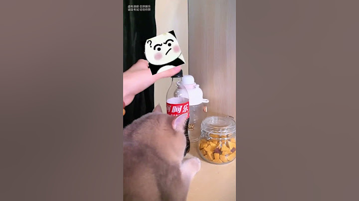 This is the legendary poor student with a lot of stationery, you are really a genius! #lucky #cat