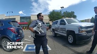 Watch: Police rescue dog from hot car, owner cited for animal neglect