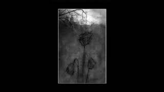 Kammarheit   Epitome