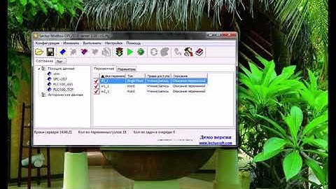 PLC100 lectus TCP ч2