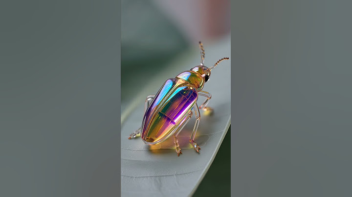 WOW! You’ve NEVER Seen a Beetle Shine Like This! Absolutely Mesmerizing! 🌈💫 #shorts #beetle #viral