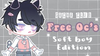 FREE OCS! ☁️🍃 {Offline and Online Codes} (gacha club) 