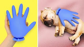 DIY Cuidado de Mascotas: ¡Divertidas y Creativas Manualidades para un Amigo Peludo Feliz! 🐱🏡🐶🐾