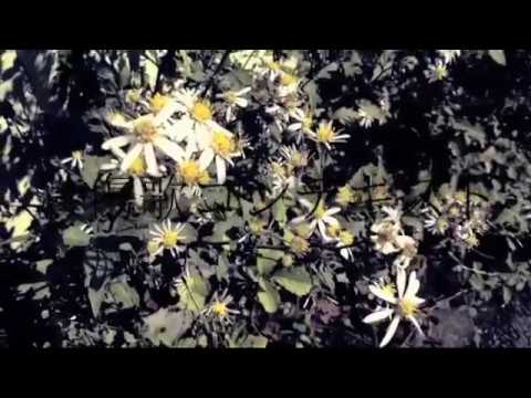 [UTAU] Elegy Context [Matsudappoiyo edge]