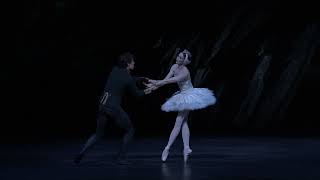 Swan Lake – End of Act II (Lauren Cuthbertson; The Royal Ballet) Resimi