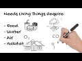 Understanding Biotic and Abiotic Elements