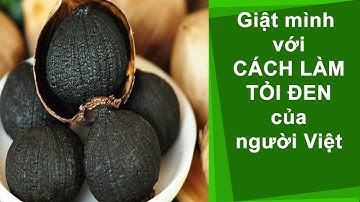 Cách làm tỏi đen của người Việt bằng máy Nhật như nào nhỉ? công dụng của rượu tỏi ngâm mật ong
