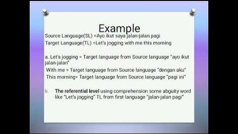The referential level and the cohesive level