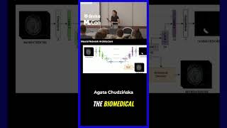 Why U-Net Still Outperforms Transformers In Medical Imaging Mlcon New York