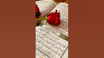 القرآن الكريم راحة نفسية #تلاوة_خاشعة  #قران_كريم #سورة_يوسف #تعليق #مشاركة #لايك #إشتراك # إكسبلور