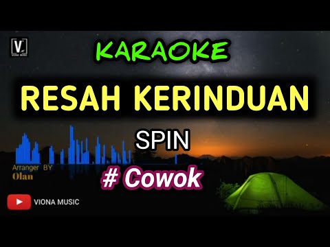 SPIN - RESAH