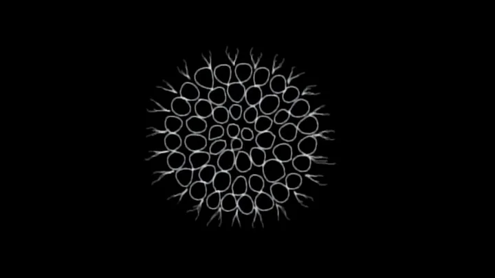 4 Billion Years Of Evolution in 40 Seconds (CQB 241)