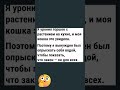 💀 #тестнапсихику #приколы #подборкаприколов #шутки #жесткийюмор