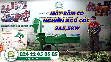 Máy Băm Cỏ, Nghiền Ngô Đa Năng 3A5,5Kw Tính Năng 2 Trong 1 Hoàn Hảo Mẫu Mới Nhất 2022
