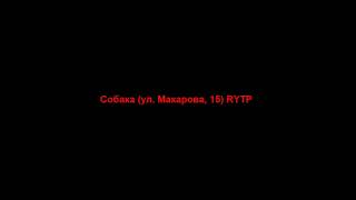 Собака (ул. Макарова, 15) RYTP