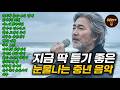 지금 들으면 눈물 나는 중년 감성 트로트｜가슴을 울리는 인생 노래 모음 Mp3 Song