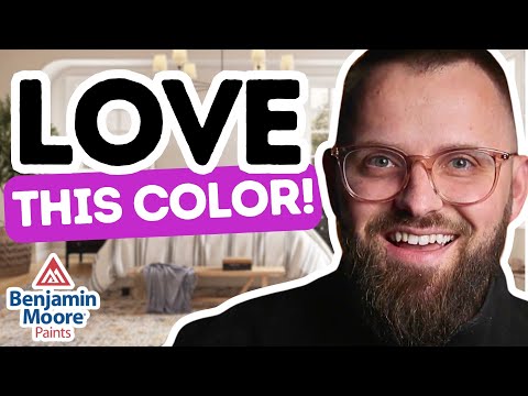 Benjamin Moore Balboa Mist Review Perfect Color Palette! | Best Neutral Paint Color 2024
