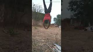 Handstand Challenge Part 2