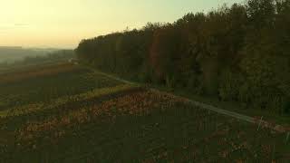 Sulzfeld DJI Mini 4 Pro Test