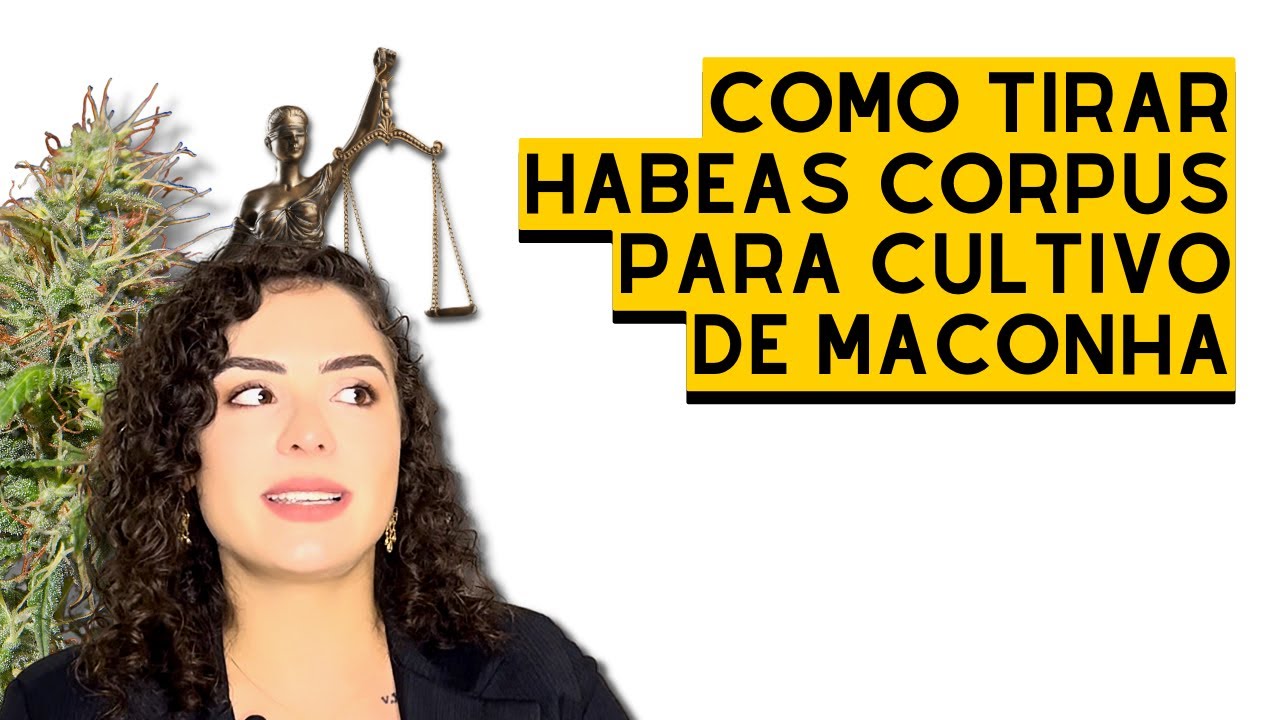 As DÚVIDAS MAIS COMUNS sobre HABEAS CORPUS - Entrevista com Samantha Reis