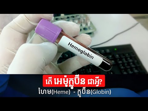 តើអេម៉ូក្លូប៊ីនជាអ្វី? | Hemoglobin | Health Problem | Health Care | Education Of Healthy People