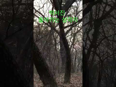올림픽공원 몽촌토성