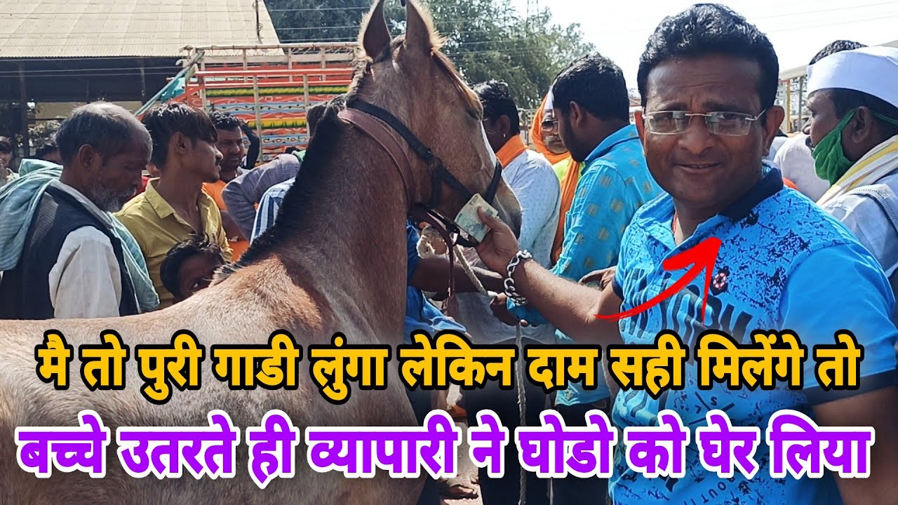 अचानक गुजरात से बच्चे भरकर गाडी से उतरे बडीया क्वालिटी वाले बच्चे।।मंडी मे मच गयी आफरा-तफरी