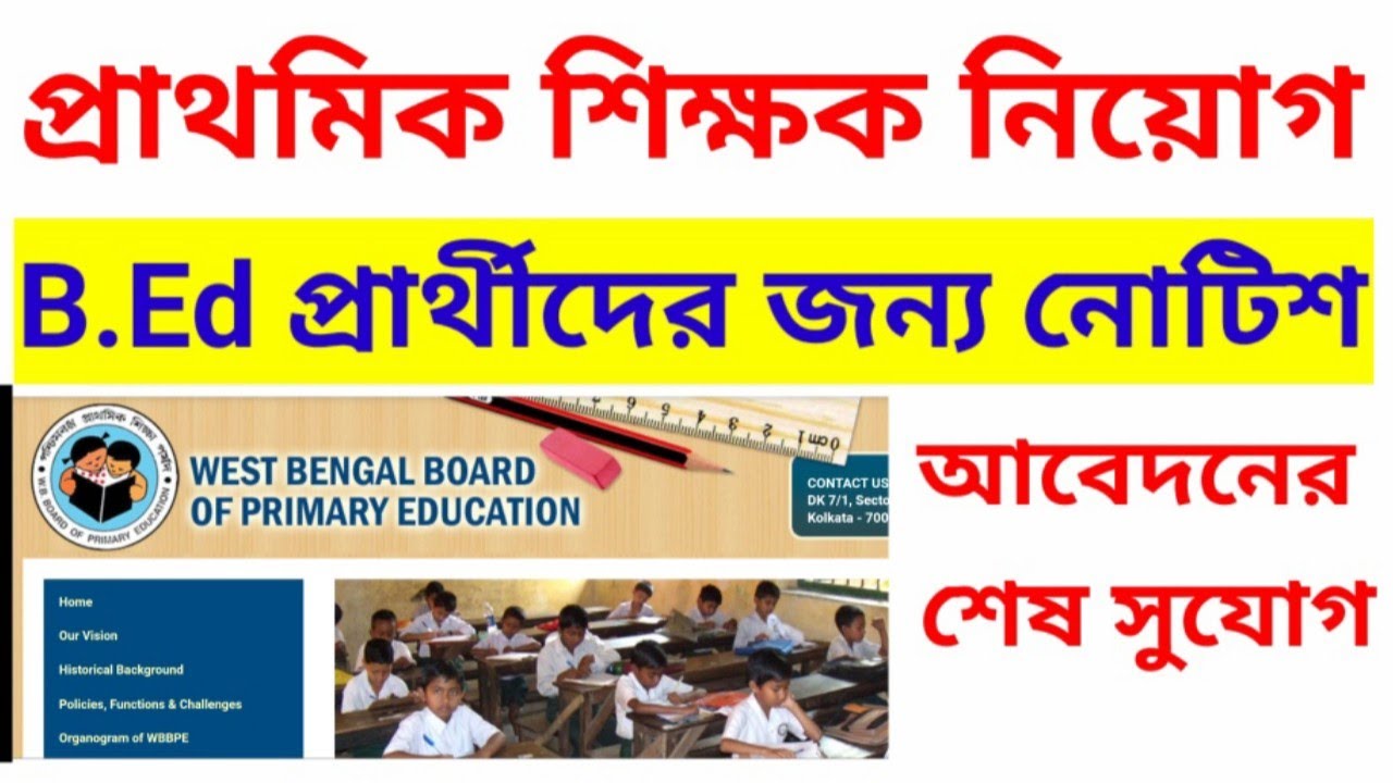 primary recruitment 2021| B.Ed candidate new update|latest news primary tet