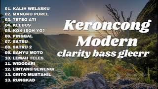 KERONCONG MODERN CLARITY BASS GLEERRR TERBARU 2023 || KALIH WELASKU || MANGKU PUREL || TETEG ATI