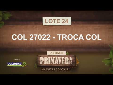 LOTE 24   COL 27022