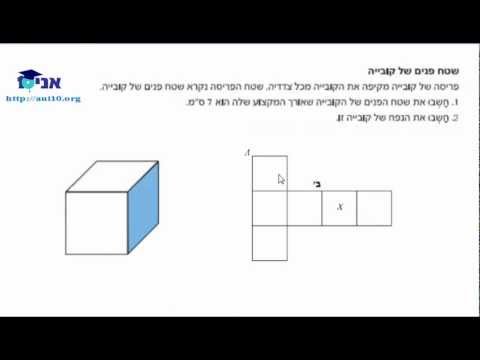 וִידֵאוֹ: כיצד לחשב מחצית חיים: 8 שלבים (עם תמונות)