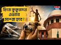 Stray Dog Case: হিংস্র কুকুরদের এভাবে মা*রা হবে ! | Stray Dog Case |Street Dog Issue |Animal Control