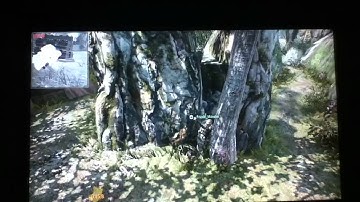 Jungle tomahawk spots