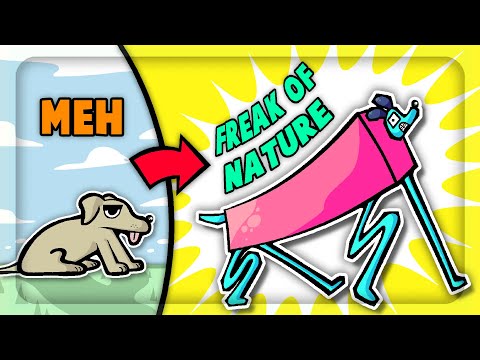 I Broke EVOLUTION