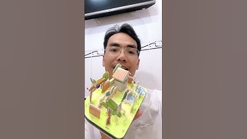 Flex những bộ đồ chơi ghép hình 3D thông minh dành cho các bé😘