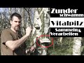 Zunderschwamm | Vitalpilz | Bedeutung und Anwendung!