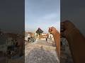 Udi udi jaye #kitevideo #kite #kiteflying #ytshortsindia #kitevideo #shortsvideo