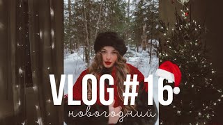 новогодний влог (#16) | dusheevnaya