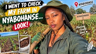 I FINALLY FINISHED PLANTING! 🌱😭… Now I Have ONE BIG PROBLEM!
