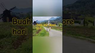 Download Lagu Buah hati disore hari #music #80smusic MP3