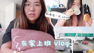 在家工作的一天 vlog | 最近工作变化update | 迎接来自湾区的好朋友! by bianbian边边 13,749 views 2 years ago 17 minutes